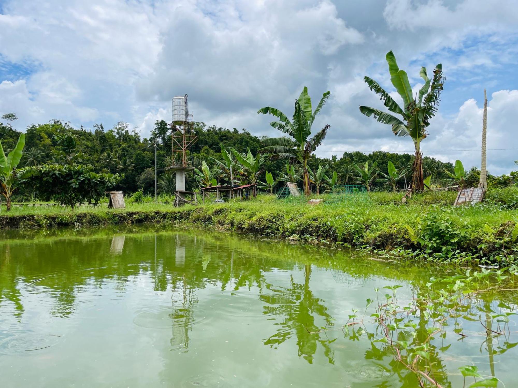 Jazz Ferme Inn Batuan Bohol Exterior photo