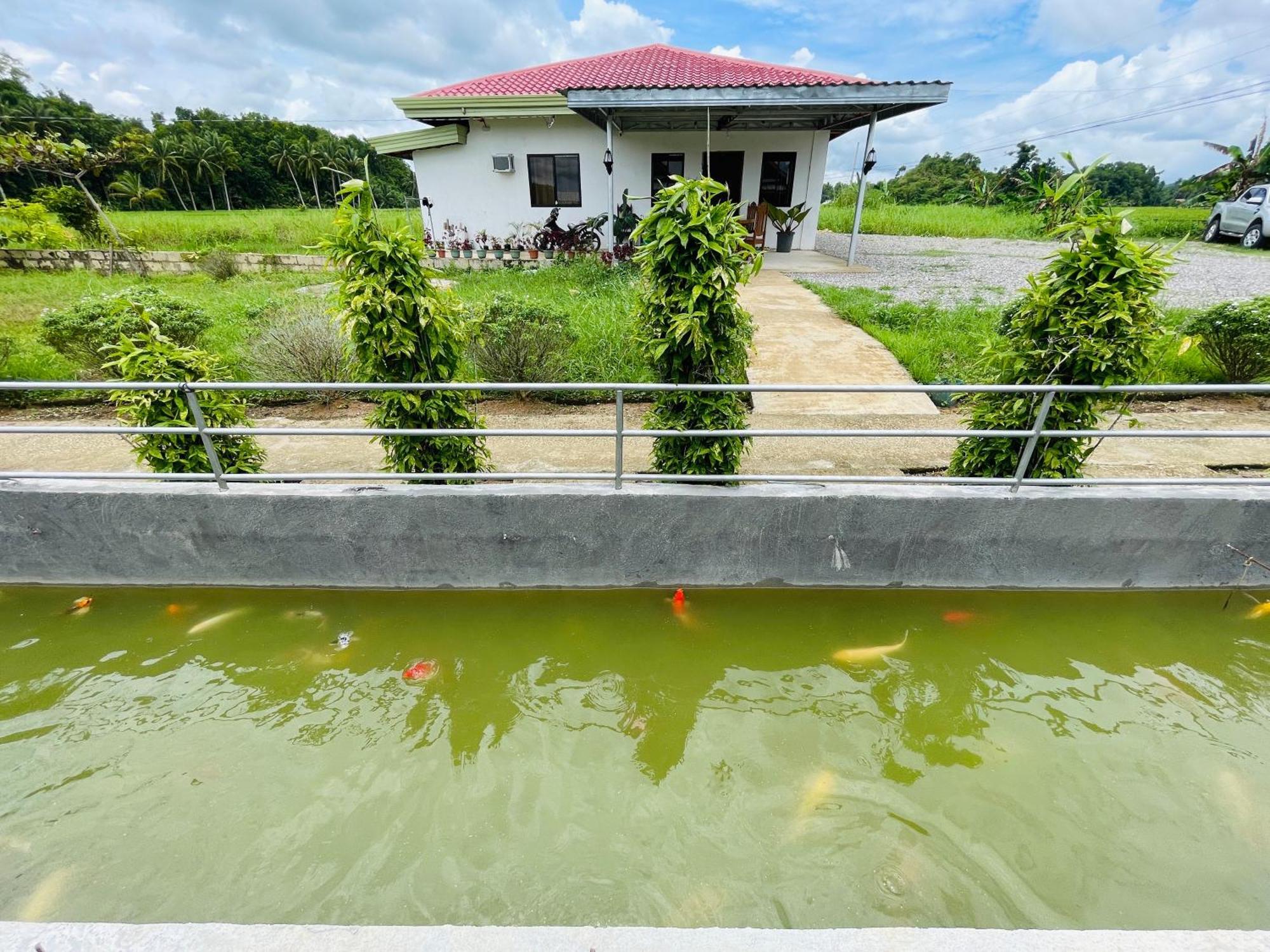 Jazz Ferme Inn Batuan Bohol Exterior photo